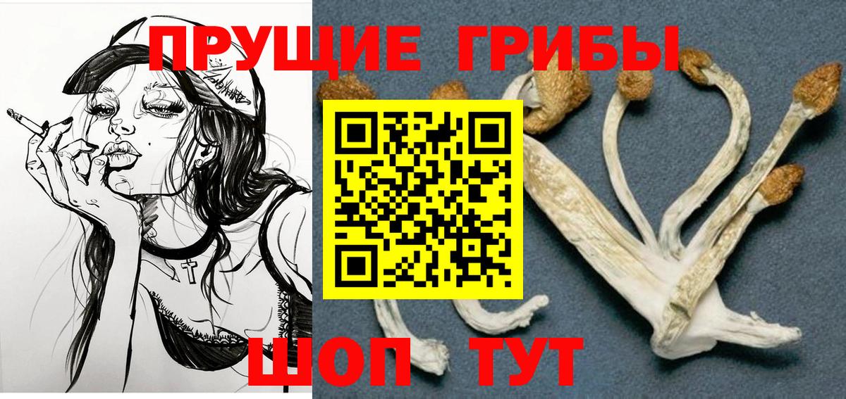 Галлюциногенные грибы GOLDEN TEACHER Усинск